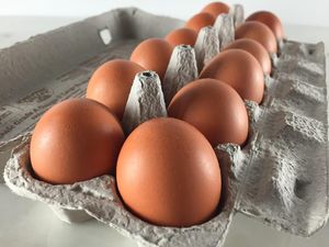 Harga Telur Ayam di AS Meroket 180% Gara-gara Panic Buying