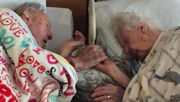 Cinta Sejati Itu Nyata, Ini Buktinya!