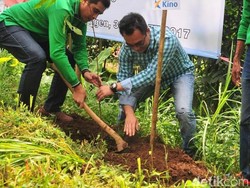 Ribuan Pohon Ditanam di Taman Hutan Raya R-Soerjo Pasuruan