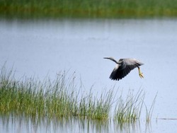 Dr Yao Chang Gunakan Foto yang Bagus Sebagai Obat