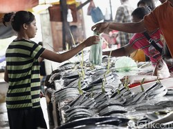 Ikan Air Laut Lebih Sehat dari Air Tawar? Ini Kata Ahli Gizi