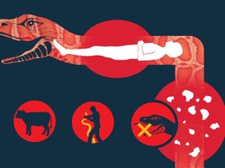 Fakta Unik Si Ular Batik