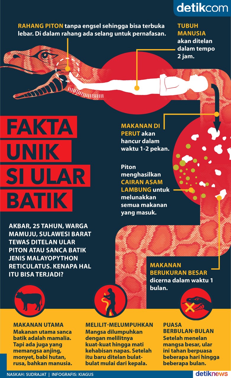 Fakta Unik Si Ular Batik