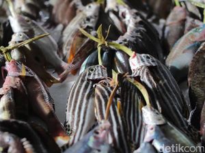 Konsumsi Ikan Orang RI Rendah, di Bawah Malaysia dan Singapura