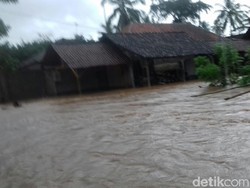 Anak Sungai Telawang Meluap, Ratusan Rumah di Jember Terendam