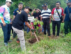 Tanam Pohon di Lereng Bromo, Bikers Kampanye Anti Pembalakan Liar