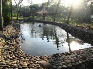 Desa Wisata Kampung Flory Hadirkan Wisata Tanaman Hias dan Kolam Terapi Ikan