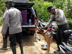 Dua Anjing Pelacak Bantu Pencarian Korban Longsor di Ponorogo