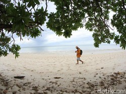 Mau Liburan ke Derawan, Ini Caranya
