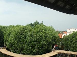 Destinasi Semarang dan Sekitarnya yang Lagi Hits di Media Sosial