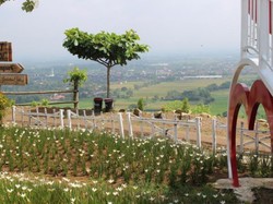 Ini Spot Foto Cantik yang Tengah Hits di Yogyakarta