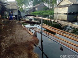 Polisi Sita 105 Batang Kayu Ilegal di Kabupaten Inhil