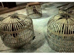 Polres Bengkalis Tangkap 7 Pemain Judi Sabung Ayam