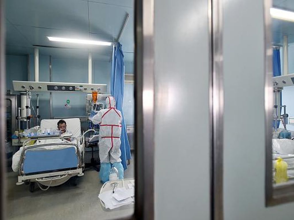 Di Tengah Wabah Virus Corona, China Hadapi Ancaman Flu Burung Di Tengah Wabah Virus Corona, China Hadapi Ancaman Flu Burung