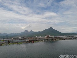 Ikan Mati Massal, Petambak KJA Bandung Barat Diminta Beralih ke Kolam Darat