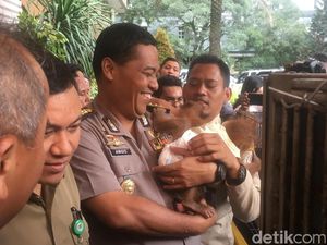 Koleksi 3 Hewan Langka, Pengusaha di Pejaten Ditangkap Polisi