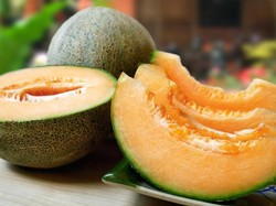 Tahun Ini Sepasang Melon Yubari Terjual Seharga Rp 357 Juta