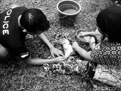 Ajaib, Dibuang di Semak Belukar Bayi di Cianjur Ini Selamat