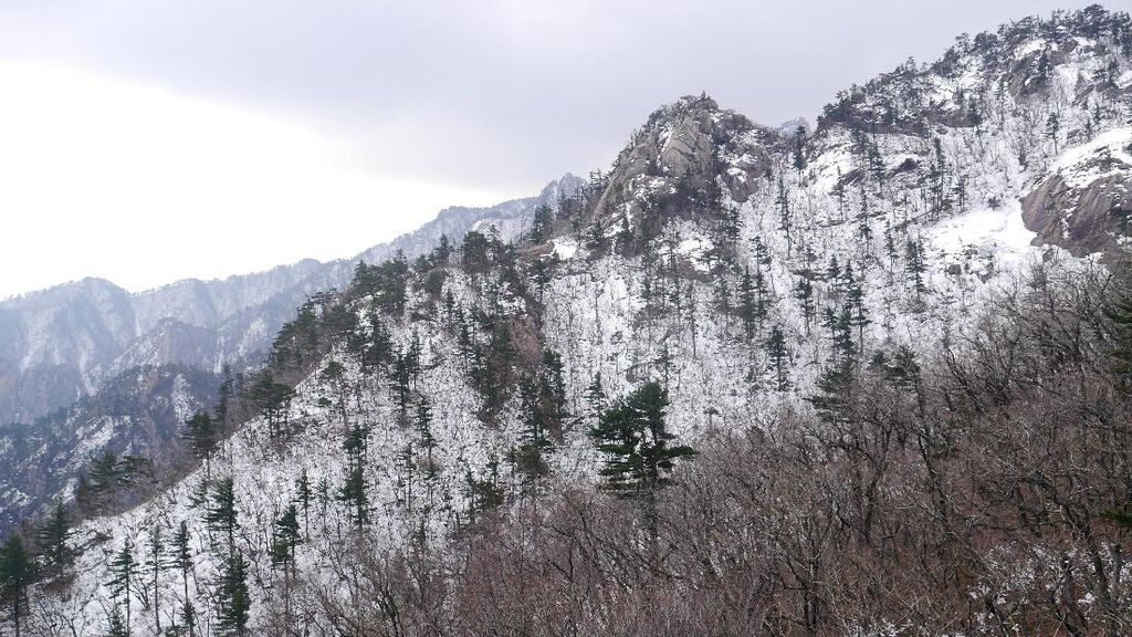 Naik Kereta Gantung ke Puncak Gunung Bersalju di Korea Naik Kereta Gantung ke Puncak Gunung Bersalju di Korea