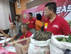 Berkedok Pengajian, Begini Modus Penipuan Gandakan Uang dengan Daun