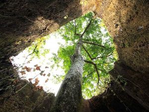 5 Gua di Tuban yang Seru untuk Dikunjungi