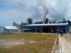 Ada Listrik 24 Jam di Karimunjawa, Pemilik Homestay Semringah
