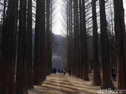 Winter Sonata