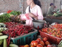 RI Bisa Belajar dari Thailand Tanam Cabai Hingga Bawang Tahan Cuaca