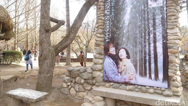 Spot Foto Ala Drama Winter Sonata di Nami Island