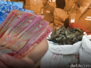 Penipu yang Bawa Kabur 1,8 Ton Jahe di Boyolali Ditangkap! Penipu yang Bawa Kabur 1,8 Ton Jahe di Boyolali Ditangkap!