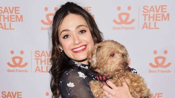 Gemas! Lucunya Emmy Rossum Kala Berpose Bersama Hewan