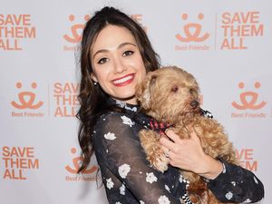 Gemas! Lucunya Emmy Rossum Kala Berpose Bersama Hewan