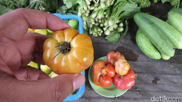 Blusukan ke Pasar Atambua, Menikmati Tawa dan Senyuman