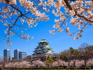 Lagi di Osaka, Ini 5 Destinasi yang Bisa Didatangi Ahok Lagi di Osaka, Ini 5 Destinasi yang Bisa Didatangi Ahok