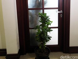 Saleh Sudah Serahkan Fasilitas DPD ke OSO, Hemas dan Farouk Belum