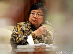 Menteri Siti: Muncul Titik Api Baru di Bangka Belitung