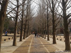Pengen Liburan ke Korea? Ketahui Dulu Hal-Hal Berikut Pengen Liburan ke Korea? Ketahui Dulu Hal-Hal Berikut