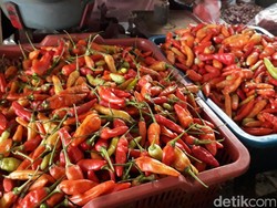 Polri: Lonjakan Harga Cabai Rawit di Lombok Diduga Ulah Pengepul