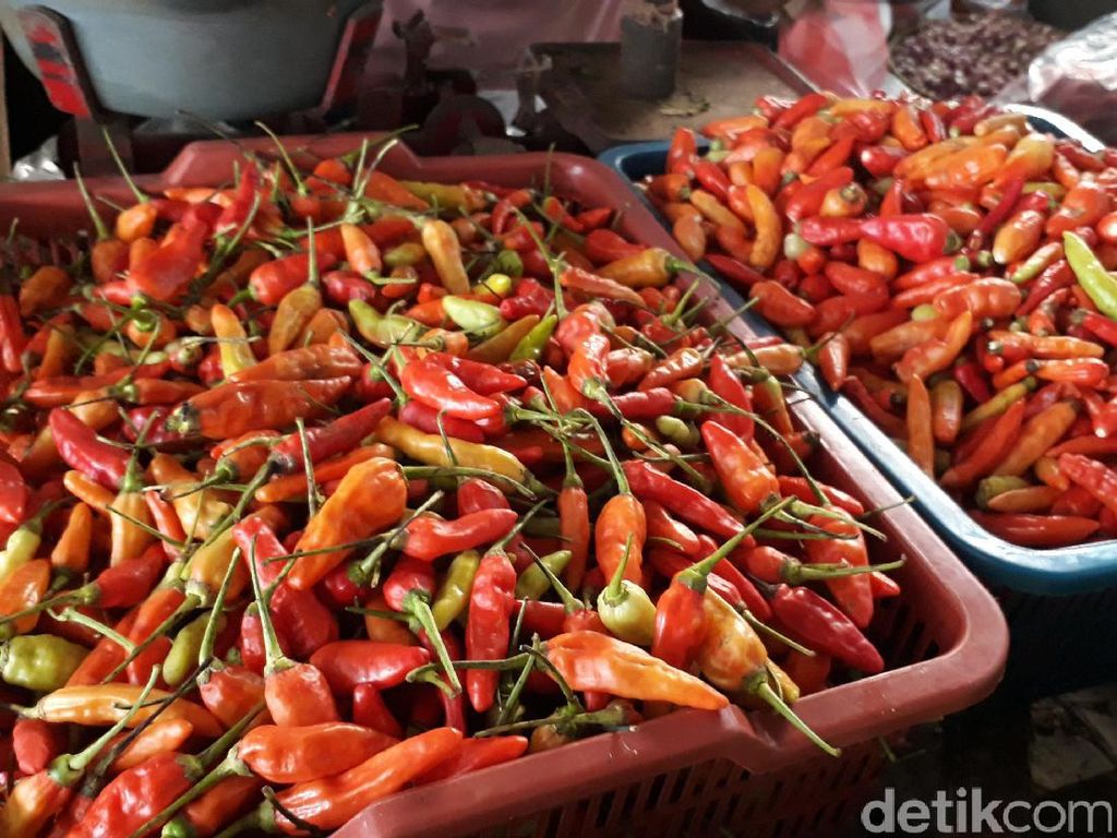 Harga Cabai Turun ke Rp 30.000/Kg, Petani Mau Harga Kembali Normal Harga Cabai Turun ke Rp 30.000/Kg, Petani Mau Harga Kembali Normal
