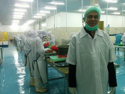 Perjuangan Eksportir Telur Ikan Terbang Sulsel Tembus Pasar Asia