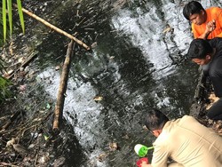 Sampel Tumpahan Oli di Waduk Saguling Dicek Laboratorium
