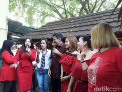 Kompak Berbaju Merah, Five V hingga Annisa Bahar Dukung Ahok-Djarot