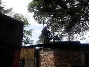 Angin Kencang, Penerjun TNI AU Mendarat Darurat di Rumah Warga