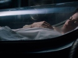 Dicari, 24 Pria untuk Tidur 60 Hari dengan Honor Rp 200 Juta