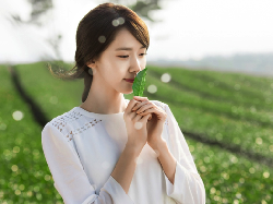 5 Hal tentang Brand Kosmetik innisfree yang Rilis di Indonesia