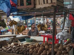 Portrait penjual kelapa