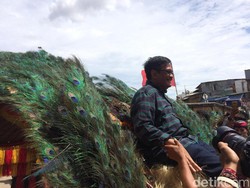 Djarot: Pilgub DKI Tak Boleh Dijadikan Ajang Taruhan