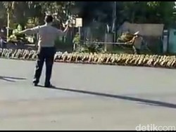 Kagetnya Wakapolresta Solo dan Warga Lihat Bebek Sesaki Jalan Raya