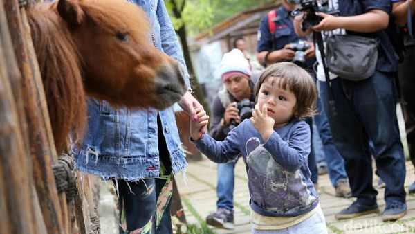 Lucunya El Barack saat Lihat Binatang