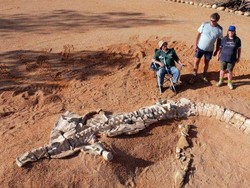 Fosil Plesiosaurus Terlengkap Asal Queensland Dipamerkan